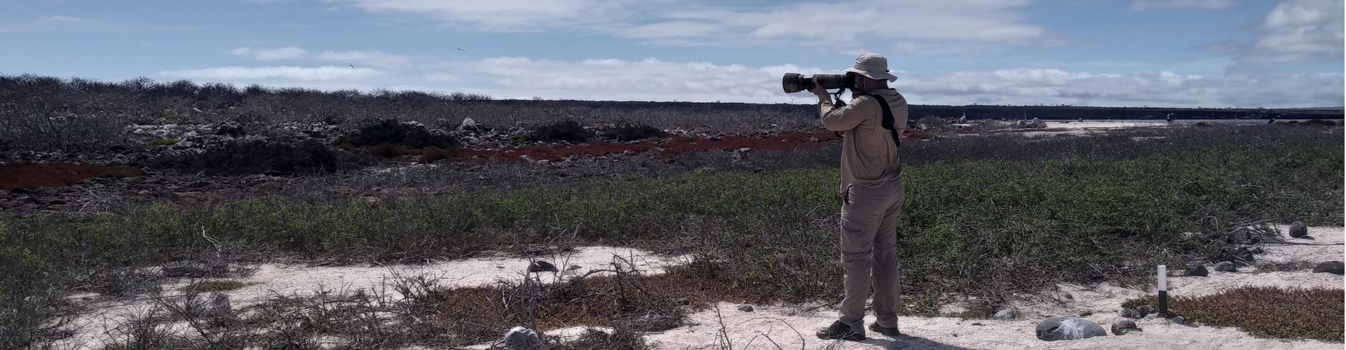 North Seymour Island, Galápagos: Boobies, Frigatebirds and the Best Day Trip from Santa Cruz